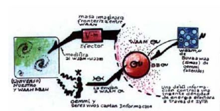 Diagram of the cybernetic loop between universes
