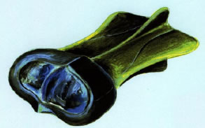 Diagram of an UMMO vehicle